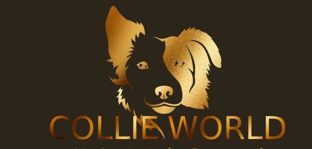 Collie World